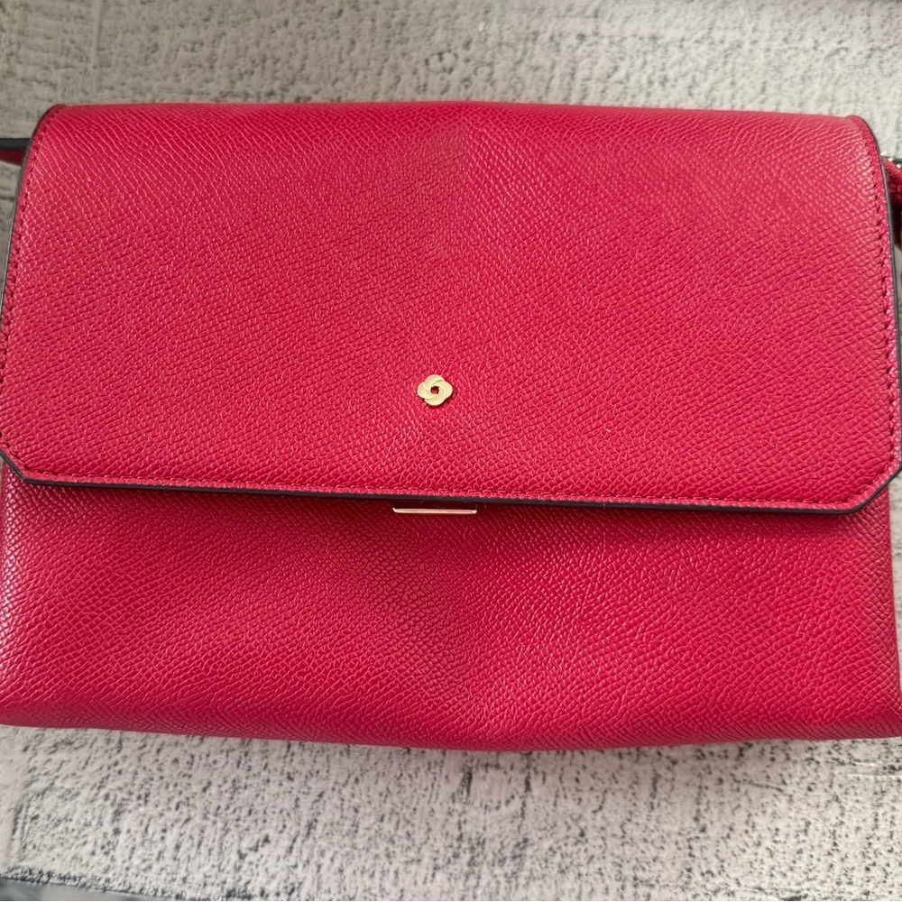 Samsonite Red Crossbody Bag Minimalist Design